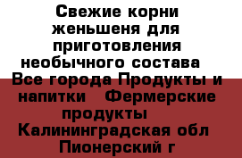 Свежие корни женьшеня для приготовления необычного состава - Все города Продукты и напитки » Фермерские продукты   . Калининградская обл.,Пионерский г.